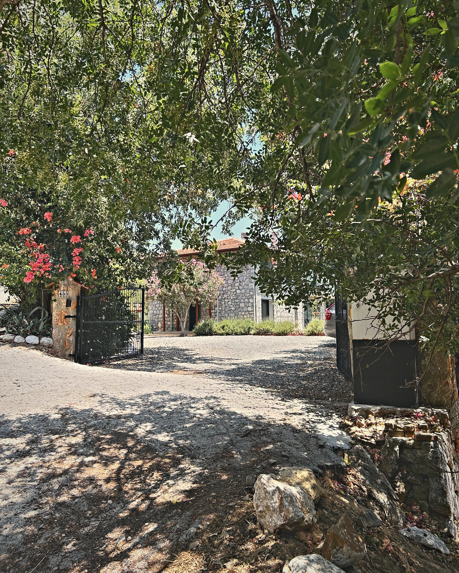 The open iron gate of No. 433 beneath old trees, the stone house beyond