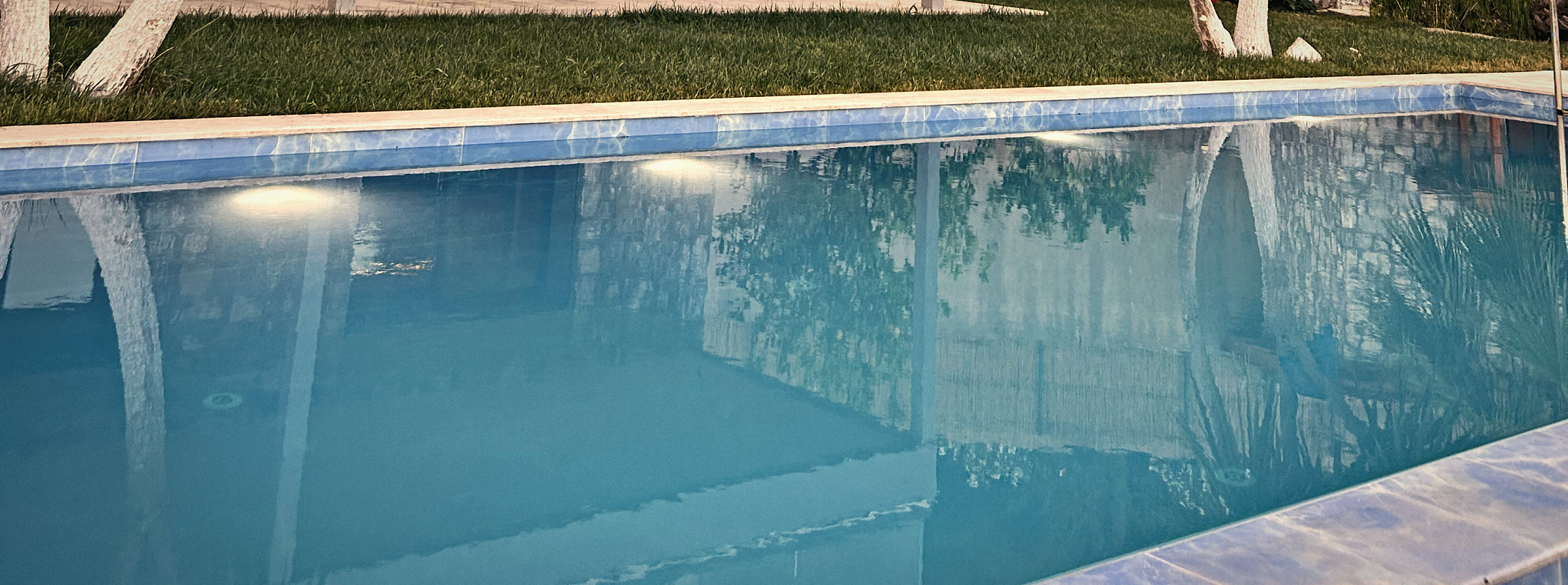 Palms and pines reflected in the still pool at dusk